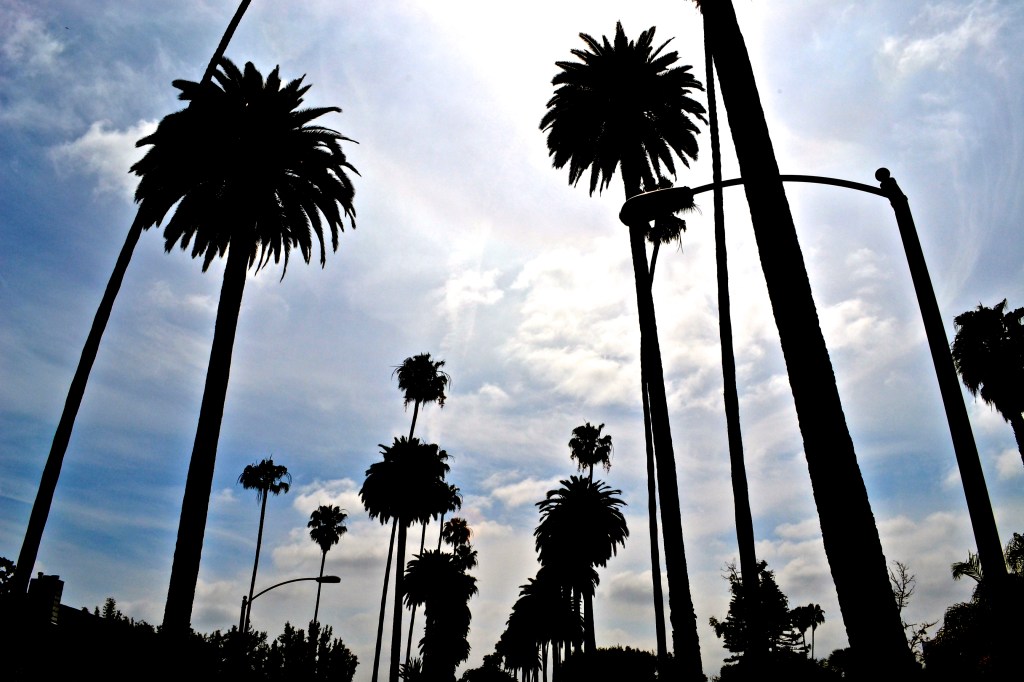 The City of&nbsp;Angels