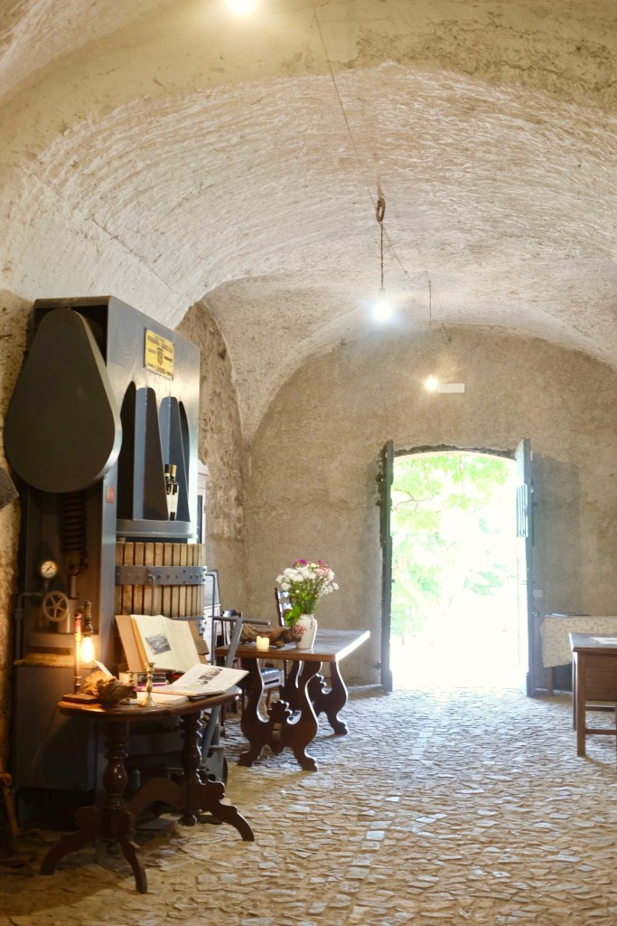 The Old Frascati Wine Tour