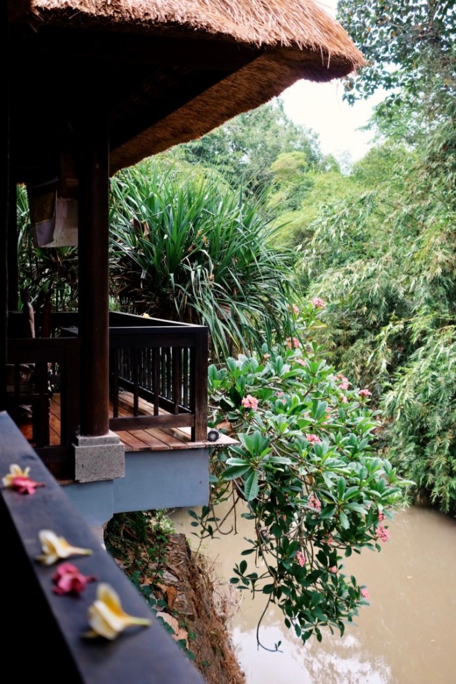 sukhavati ayurvedic retreat and spa bali