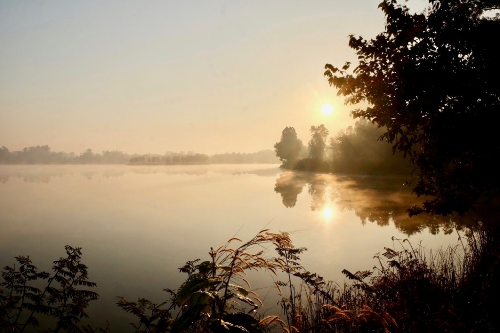 2019: Reflections, Lessons, and Where We’re Moving Next