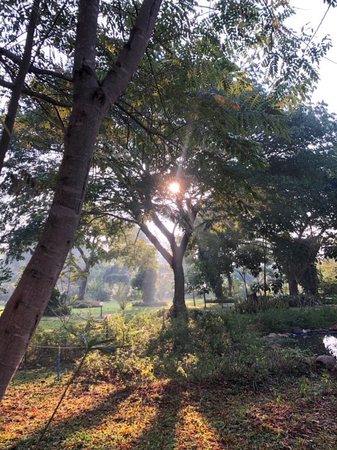 Museflower retreat Chiang Rai