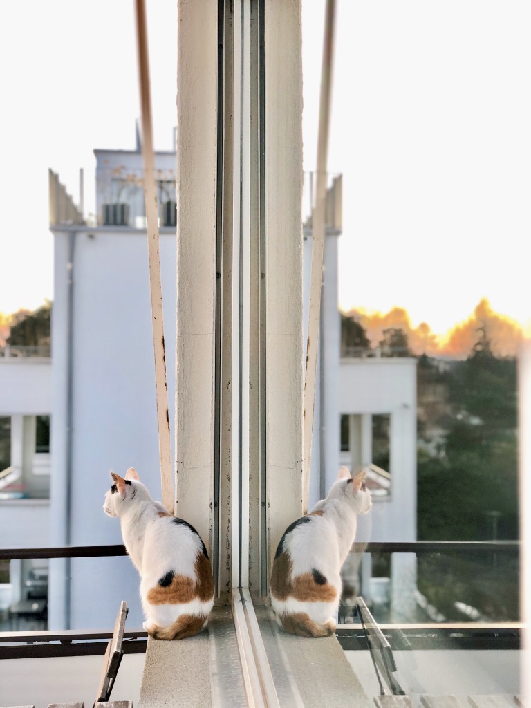 socialdistancingswitzerland