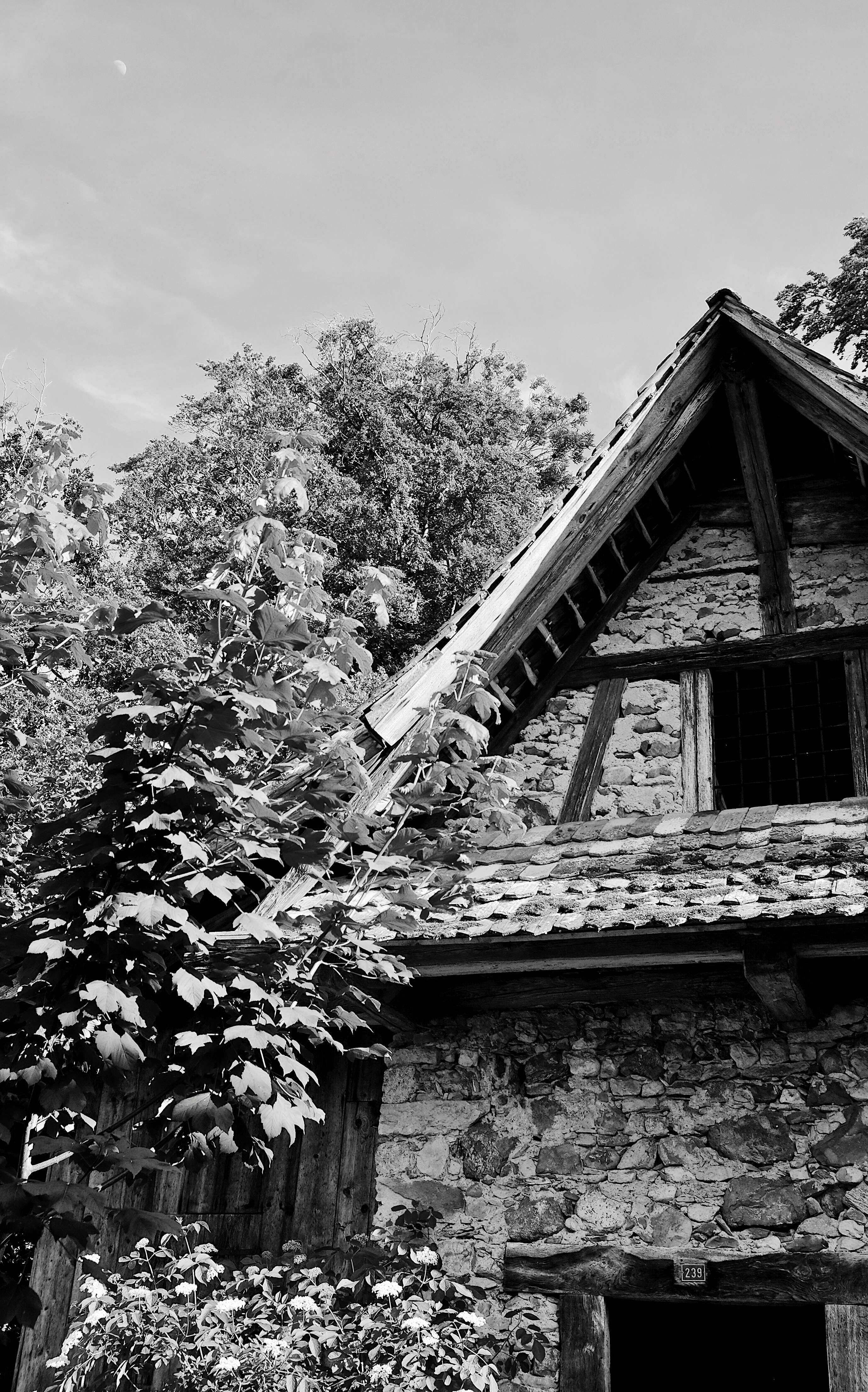 Alte Mühle Winterschwil switzerland