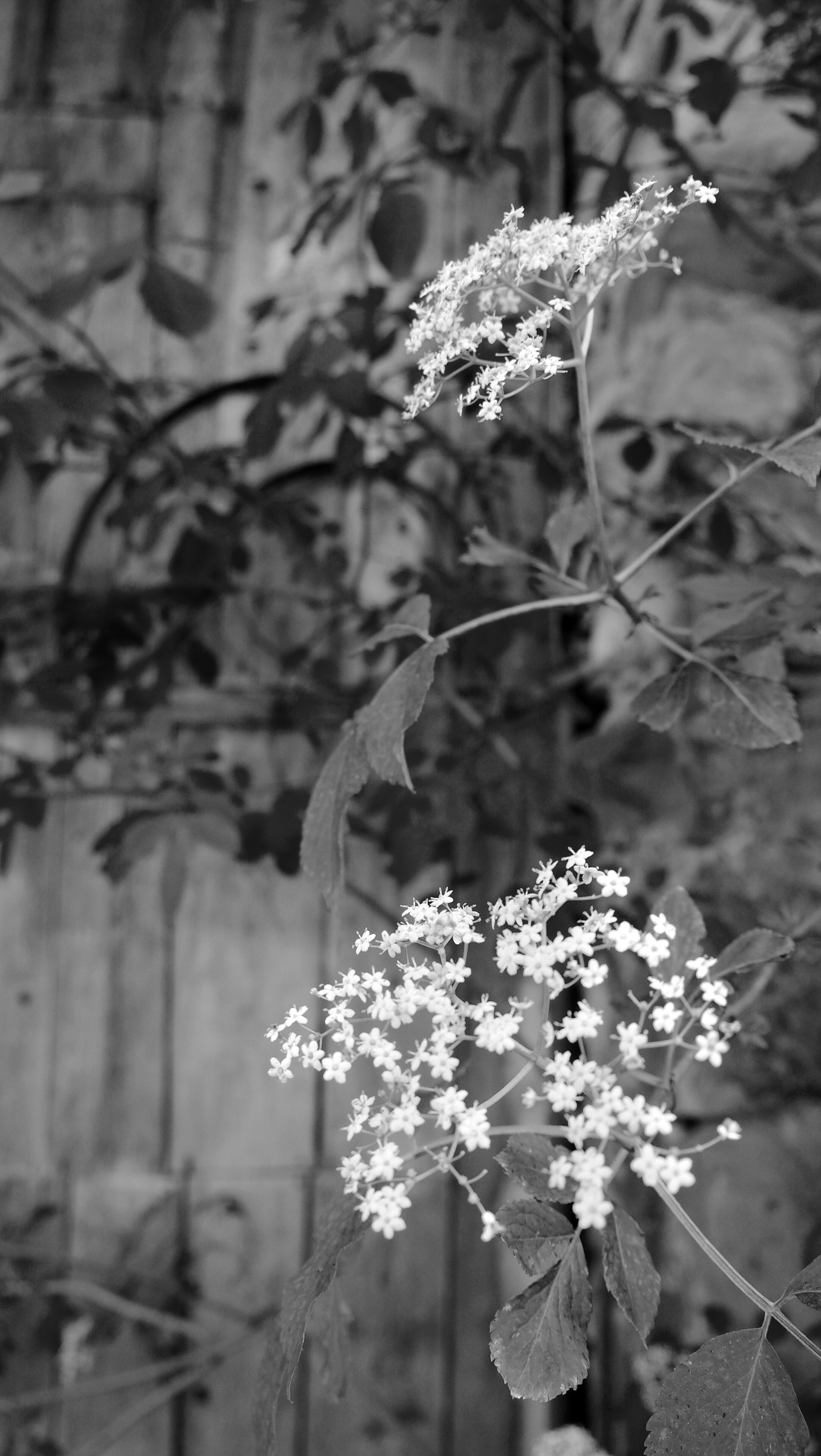 Alte Mühle Winterschwil switzerland