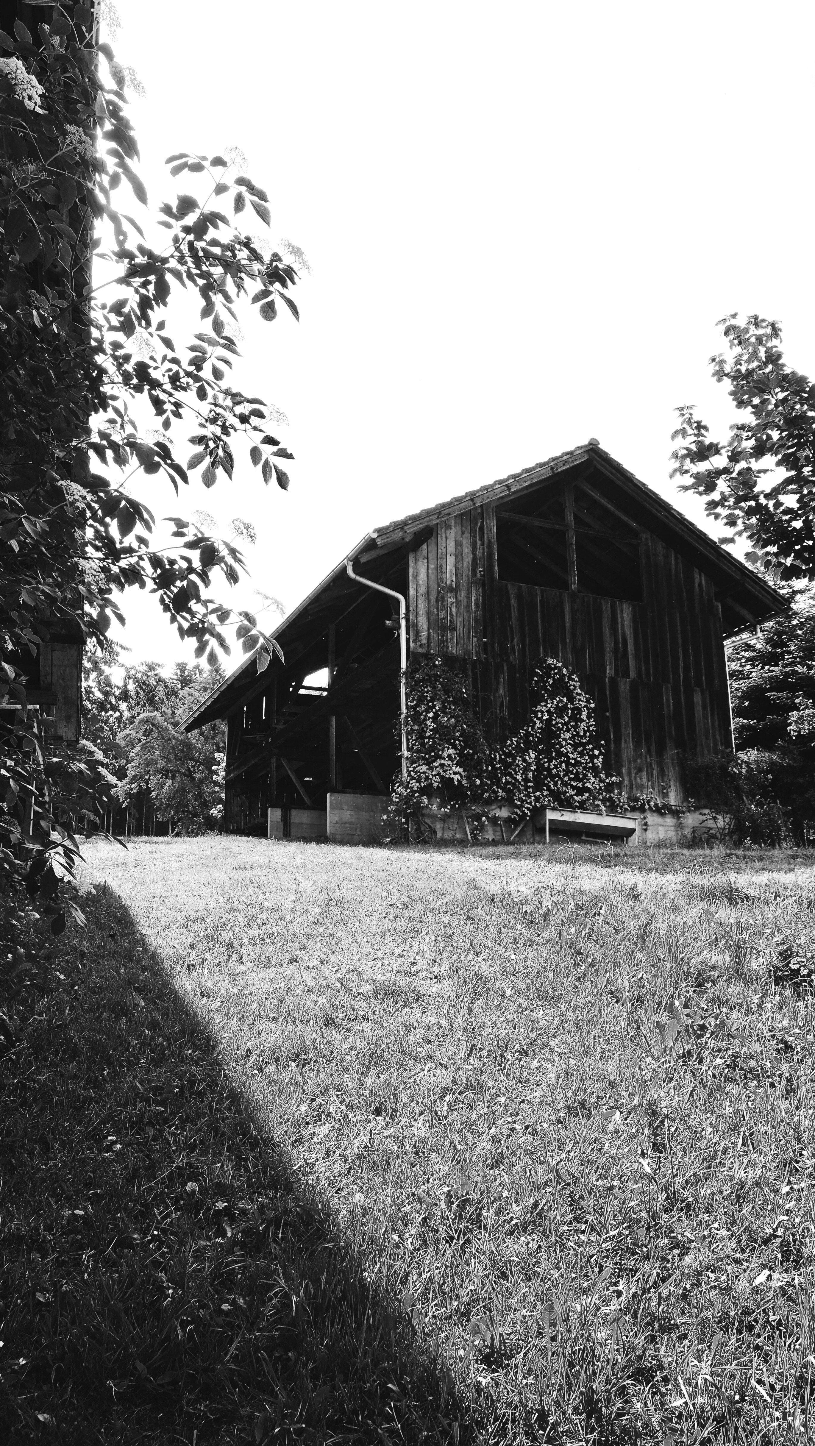 Alte Mühle Winterschwil switzerland